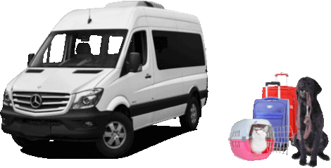 Перевозка животных Польша Франция