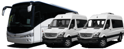 Везём Англия (Великобритания) Польша пассажиров и посылки